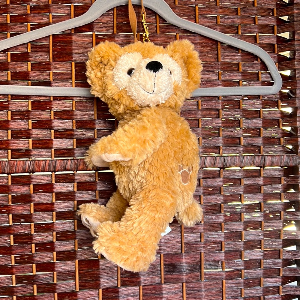 Duffy the Disney bear wristlet.